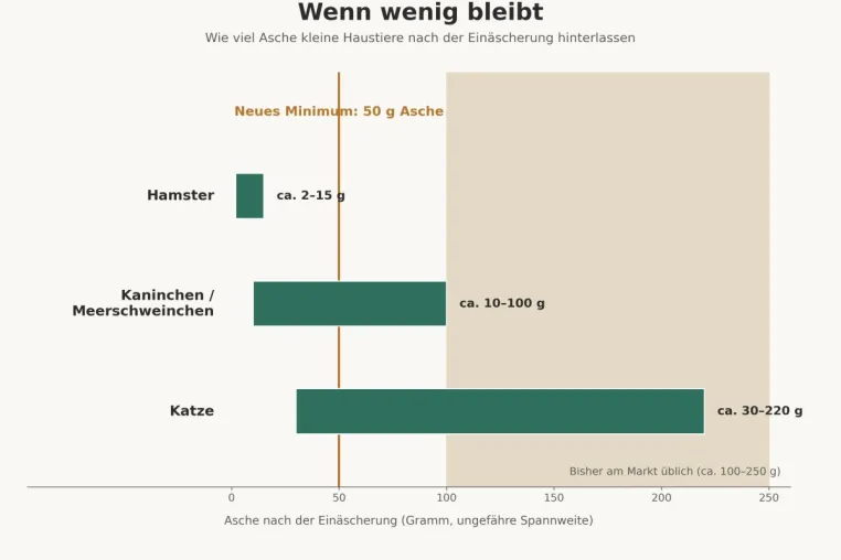 Bild: Wenn wenig bleibt: Warum Größe beim Abschied von Haustieren keine Rolle spielen sollte