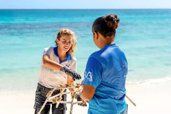 Bild: Cora Cora Maldives Resort beendet erste Phase seines innovativen Korallenaufforstungsprogramms