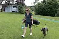 Golf-Begleithund Bild: Golf-Begleithund