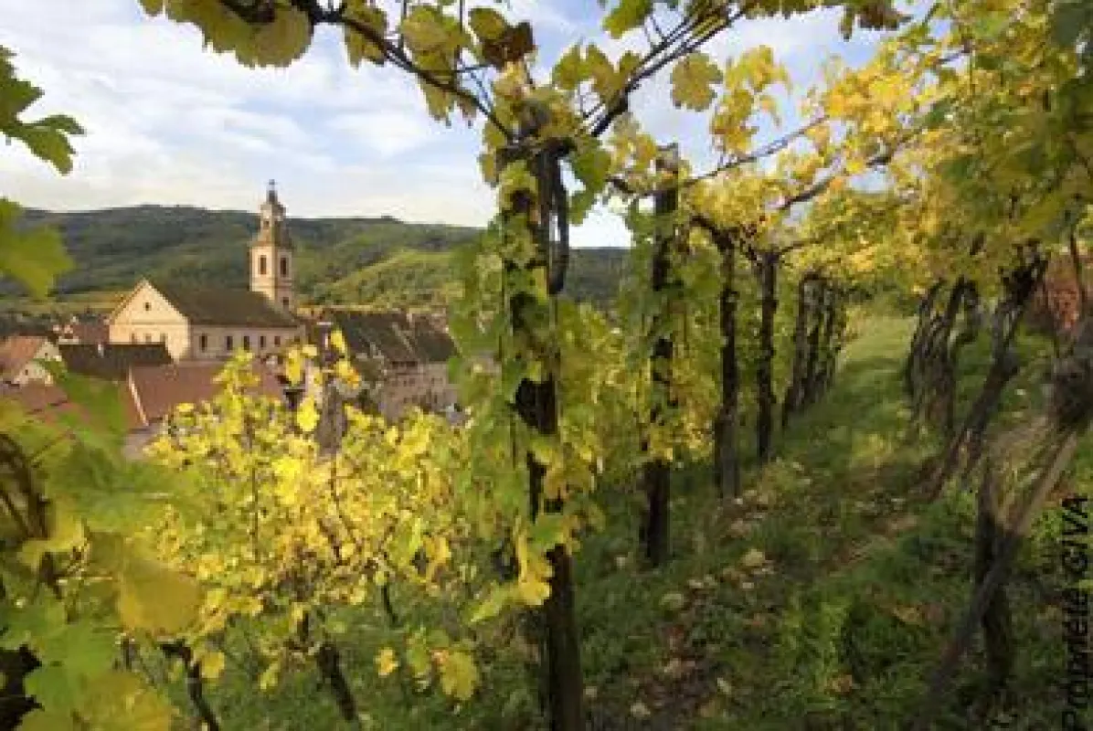 Urlaub im Elsass: Blick auf das Weindorf Riquewihr an der Elsässischen Weinstraße (CIVA)