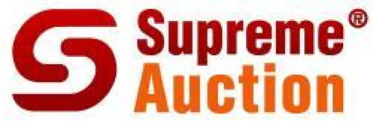 Bild: Supreme Auction: Jeden Monat gehen über 100.000 eBay-Auktionen mit dem Supreme-Faktor an den Start