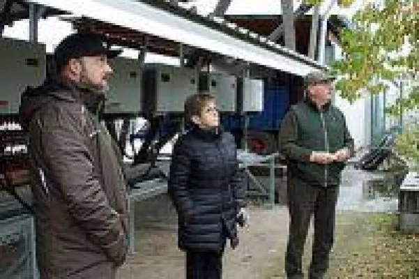 Bild: Gar nichts machen, hilft keinem weiter. Erneuerbare Energien umsetzen anstatt die Handbremse ziehen