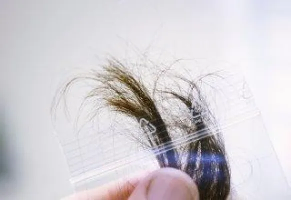 Bild: Mit Haaranalyse zum Drogen-Abstinenz-Nachweis für die MPU