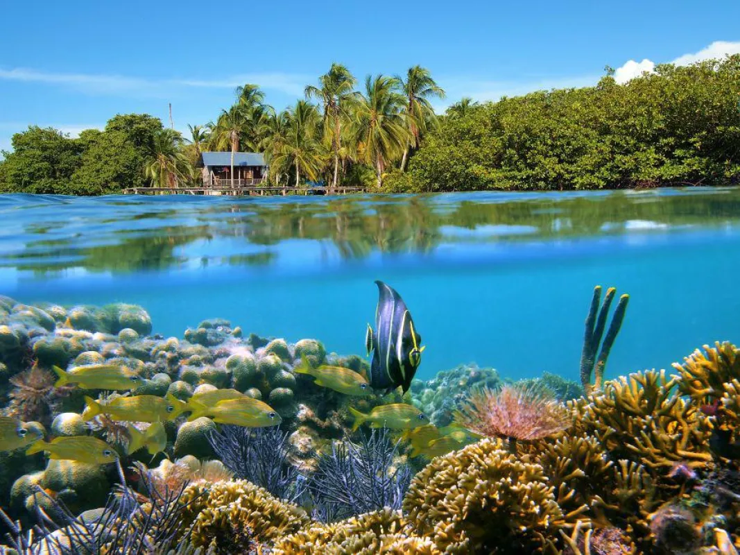 Bocas des Toro