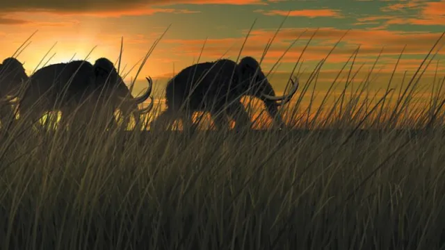 Bild: EISZEIT in Niederösterreich und Mähren / Animationsfilm gibt Einblicke in die Zeit vor ca. 30.000 Jahren.