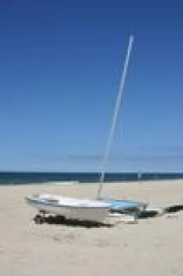 Bild: Virtueller Bootshandel boomt