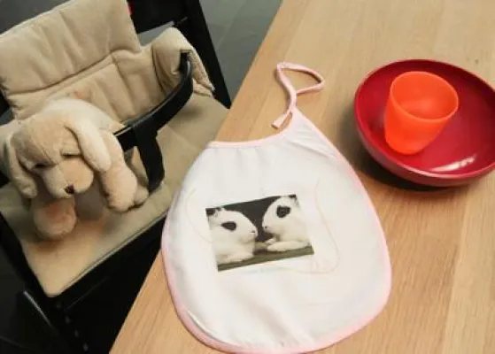 Hund, Katze und Maus in Szene gesetzt Bild: Hund, Katze und Maus in Szene gesetzt