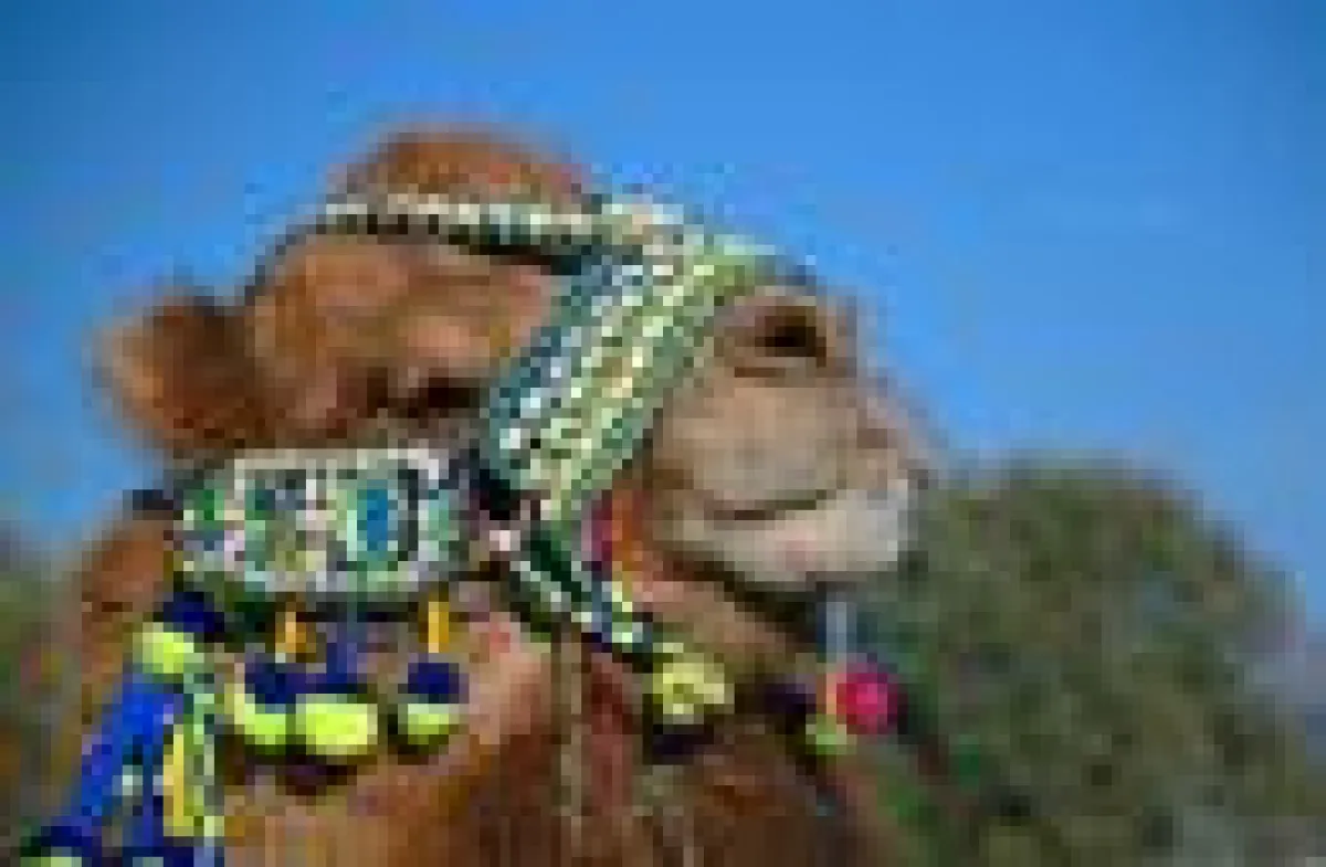 Bildquelle: Omer Dogan (www.omerfotograf.com)