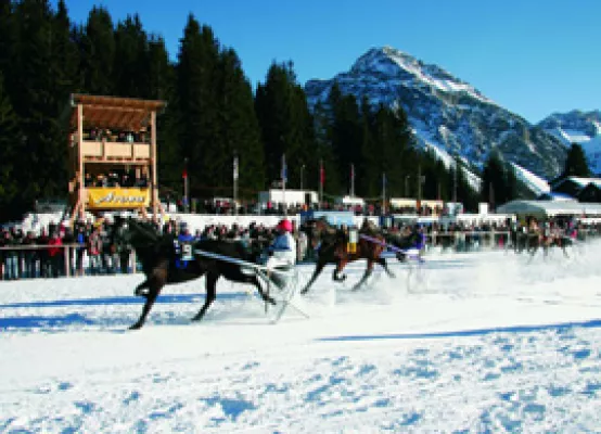 Bild: Pferderennen auf Schnee – Im Schweizer Ferienort Arosa machen auch Pferde Wintersport