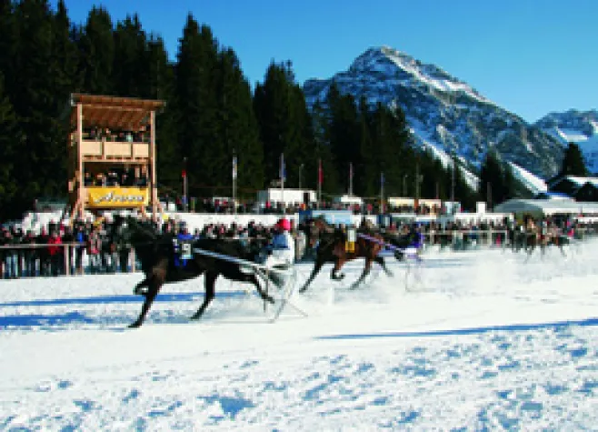 Bild: Pferderennen auf Schnee – Im Schweizer Ferienort Arosa machen auch Pferde Wintersport