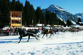 Pferderennen auf Schnee – Im Schweizer Ferienort Arosa machen auch Pferde Wintersport Bild: Pferderennen auf Schnee – Im Schweizer Ferienort Arosa machen auch Pferde Wintersport