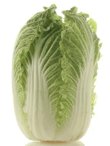 Bild: MasterCuisine aktuell: Chinakohl