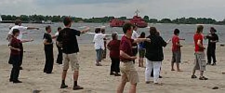 Weißer Drache am Strand von Wittenbergen Bild: Weißer Drache am Strand von Wittenbergen