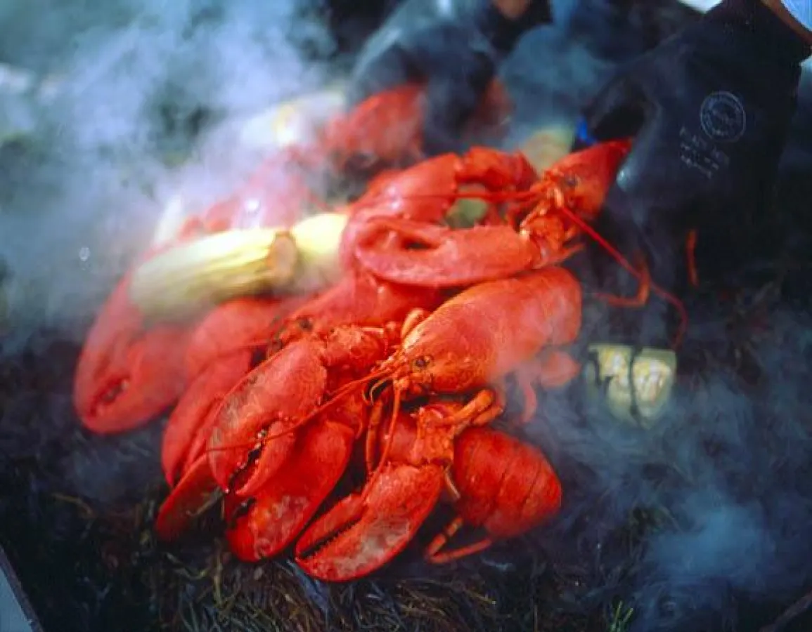 Hummer aus Maine. Foto: The Maine Office of Tourism