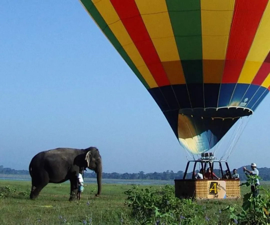 Hot Air Balloon with Elephant, Credit: Ad Asia