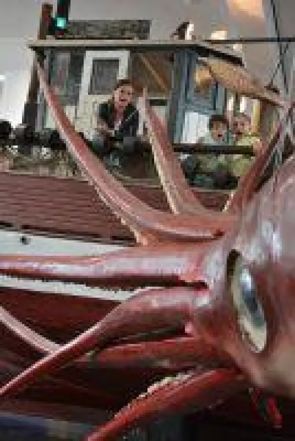 Von der Riesenkrake bis zum Einhorn: Monster-Mythen entdecken in der Sommerausstellung im Wattenmeer Besucherzentrum