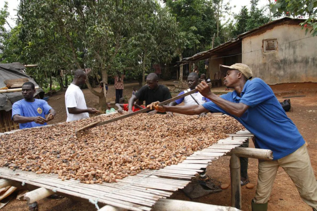 Was ist nachhaltige Schokolade? Zum Beispiel, dass Kakaobauern von ihrer Arbeit leben können.