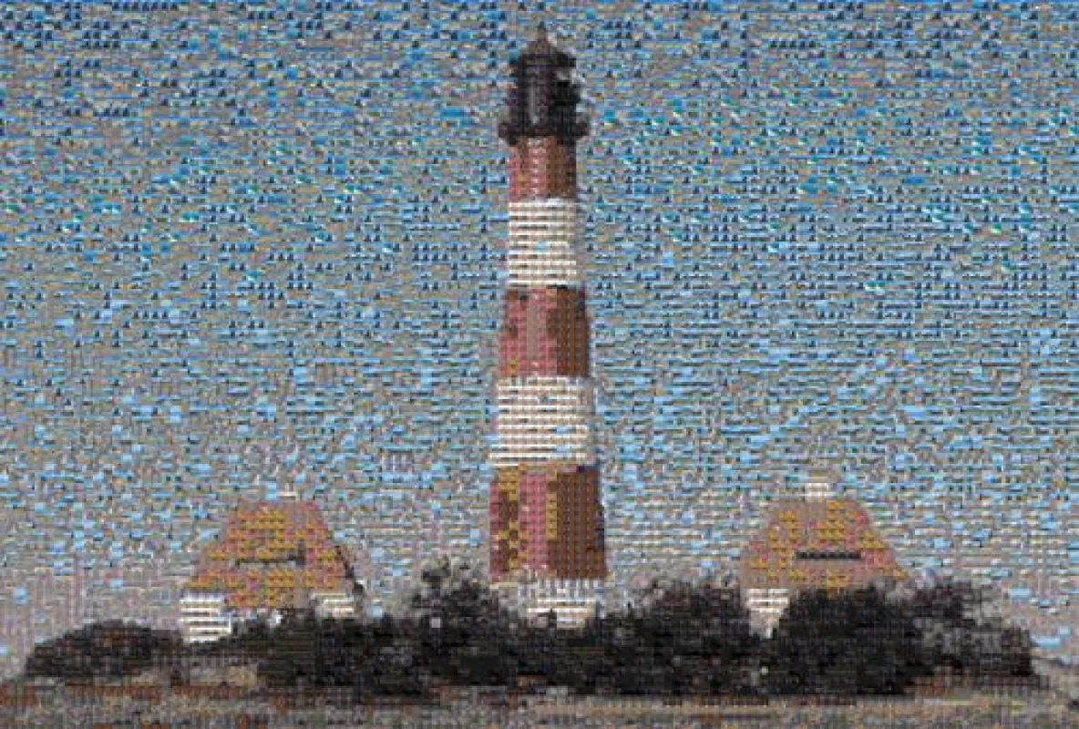 Mosaik aus Einzelbildern
