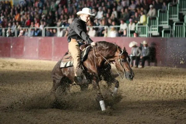 Bild: Westernreiter im Havelland