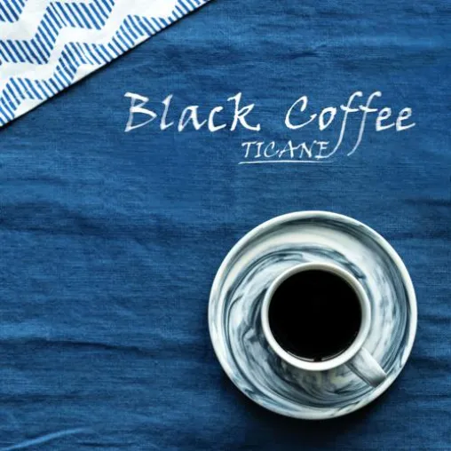 Mehr Downtempo-Musik von TICANE Bild: Mehr Downtempo-Musik von TICANE