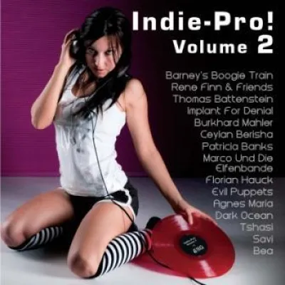 IndiePro - CD Promotion Sampler Bild: IndiePro - CD Promotion Sampler