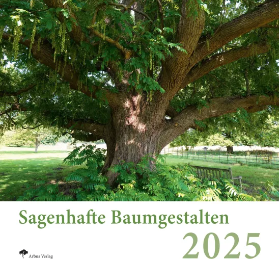 Baumkalender 2025 - DIE einzigartige Faszination von Baumleben und Baumgestalten als Wandkalender 2025 Bild: Baumkalender 2025 - DIE einzigartige Faszination von Baumleben und Baumgestalten als Wandkalender 2025