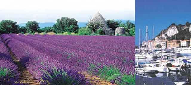 Für Aktive ab 50: Sprachkurse mit kulinarischen Akzenten in Nizza und Aix-en-Provence Bild: Für Aktive ab 50: Sprachkurse mit kulinarischen Akzenten in Nizza und Aix-en-Provence