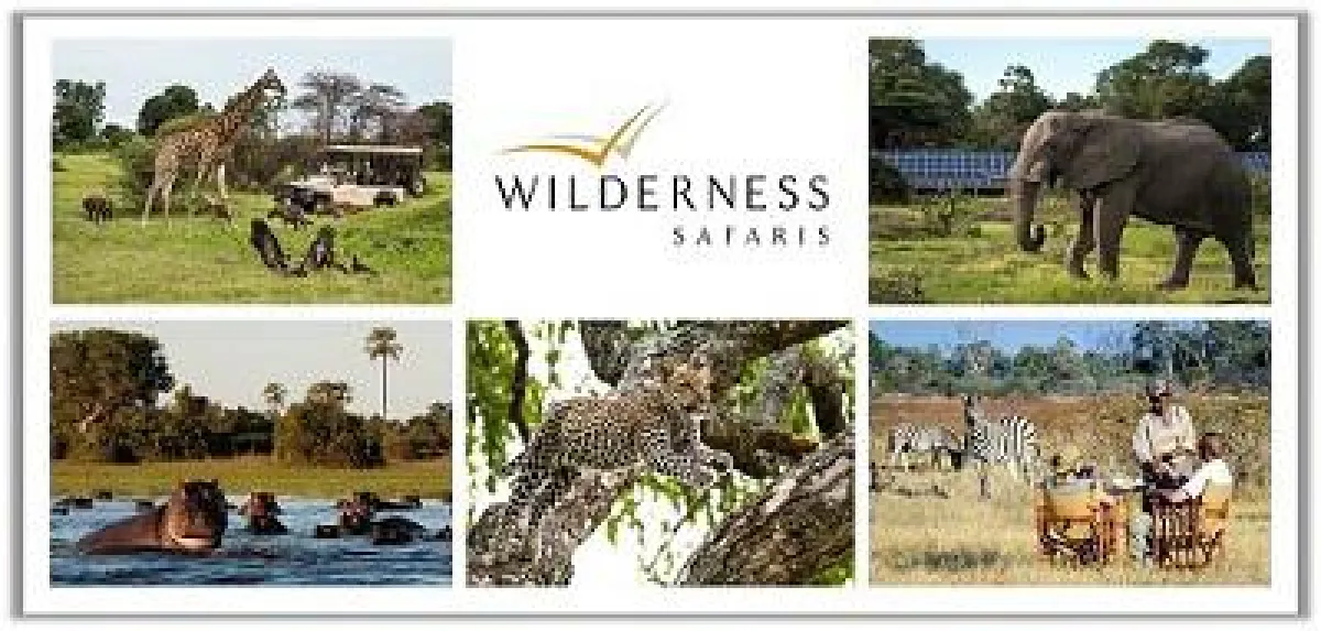 Wilderness Safaris / Schaffelhuber Communications