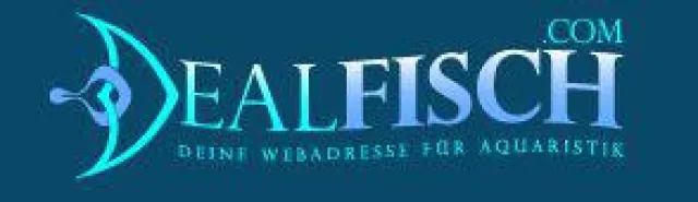 Bild: dealfisch.com ist online – das Portal für Aquaristen