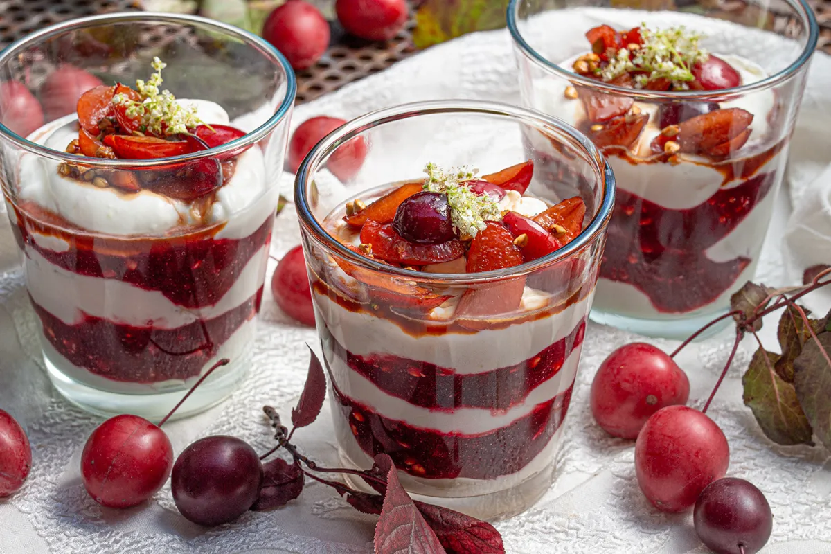 Vom „Scheißpfläumle“ zum Dessert: Kirschpflaumen-Quark-Schichtspeise  (© Renate Blaes)