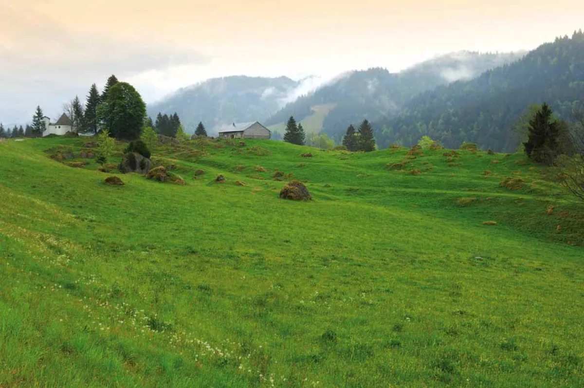 Sinneswanderung im Allgäu. Quelle: Hubertus Alpin Lodge & Spa