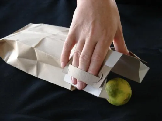 Bild: Die innovativste Ökotüte für Hundekot