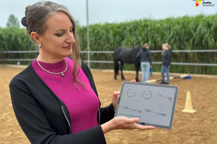 Bild: Mit Pferden in die Zukunft: Innovative Teambuilding-Workshops für Unternehmen im Wandel
