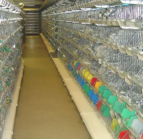 ERP-Software mit Lagerverwaltungssystem (LVS) - Nissen & Velten optimiert SQL-Business für den Großhandel Bild: ERP-Software mit Lagerverwaltungssystem (LVS) - Nissen & Velten optimiert SQL-Business für den Großhandel