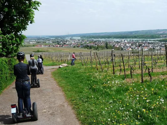 Mit dem SEGWAY durch den Rheingau: Neue Tour-Termine für die Weinberg-Tour von segwalk Königstein Bild: Mit dem SEGWAY durch den Rheingau: Neue Tour-Termine für die Weinberg-Tour von segwalk Königstein
