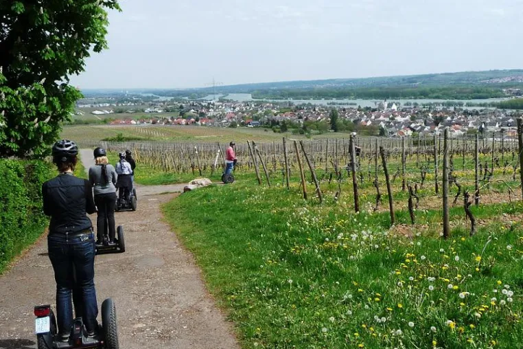 Mit dem SEGWAY durch den Rheingau: Neue Tour-Termine für die Weinberg-Tour von segwalk Königstein Bild: Mit dem SEGWAY durch den Rheingau: Neue Tour-Termine für die Weinberg-Tour von segwalk Königstein