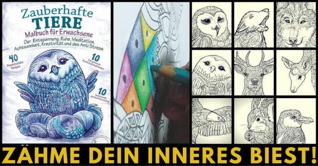 Bild: 6 Entspannende Malbücher für Erwachsene mit vielen Extras erschienen