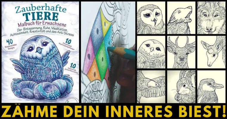 Bild: 6 Entspannende Malbücher für Erwachsene mit vielen Extras erschienen
