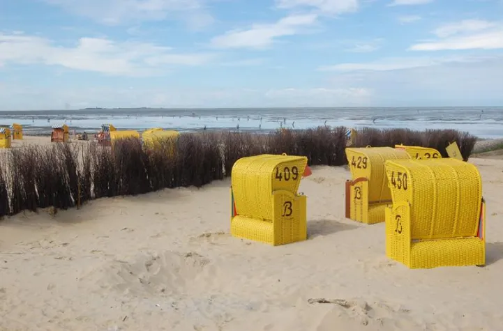 Ferienprogramm für alle Fälle Bild: Ferienprogramm für alle Fälle