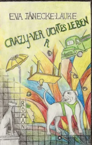 CRAZY - verrücktes Leben - Ein Roman über Wege aus der Depression Bild: CRAZY - verrücktes Leben - Ein Roman über Wege aus der Depression