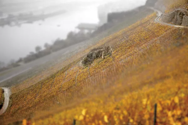 Bild: demeter-Weingut Martin Schömann füllt Unikat-Weine für Fachhändler