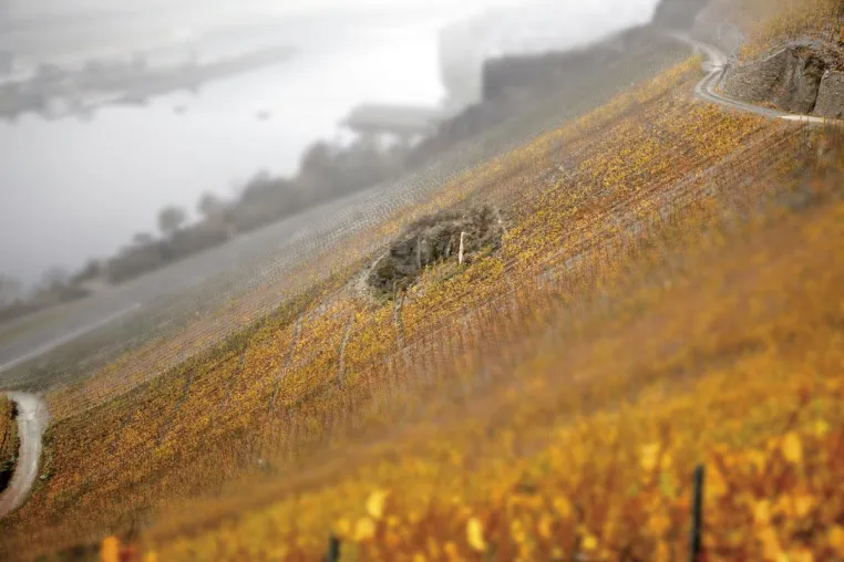 Bild: demeter-Weingut Martin Schömann füllt Unikat-Weine für Fachhändler