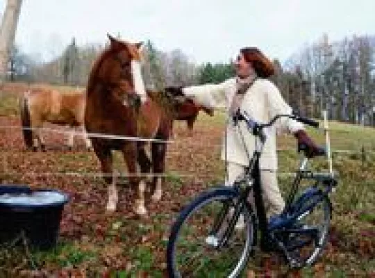 Rad und Rücken - Fitter Rücken auf zwei Rädern Bild: Rad und Rücken - Fitter Rücken auf zwei Rädern