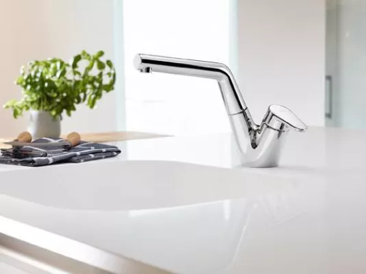 Bild: Back to the roots