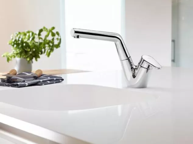 Back to the roots Bild: Back to the roots