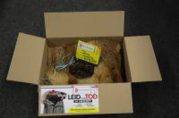 Bild: Echtpelz ist echt scheiße: Tierrechtler schicken Paket mit Kuhkot an Kaufhaus Breuninger