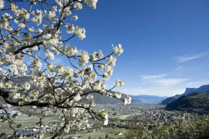 Bild: Südtiroler Vielfalt