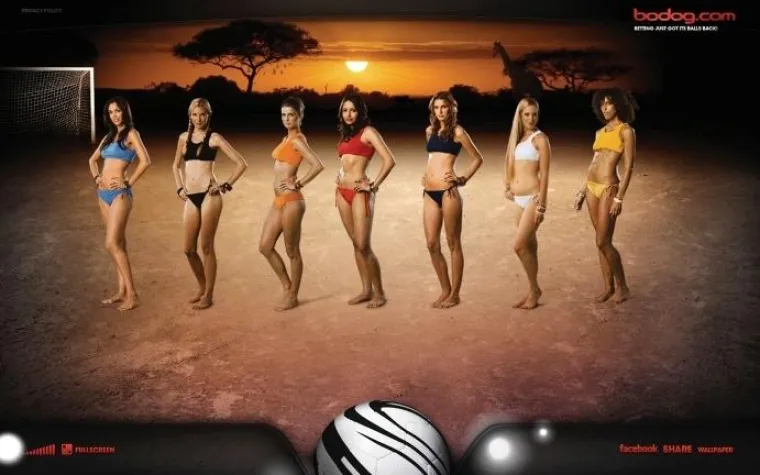 Bild: webguerillas und Bodog wetten mit nackten Tatsachen