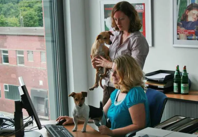 Fressnapf heißt „Kollege Hund“ willkommen Bild: Fressnapf heißt „Kollege Hund“ willkommen