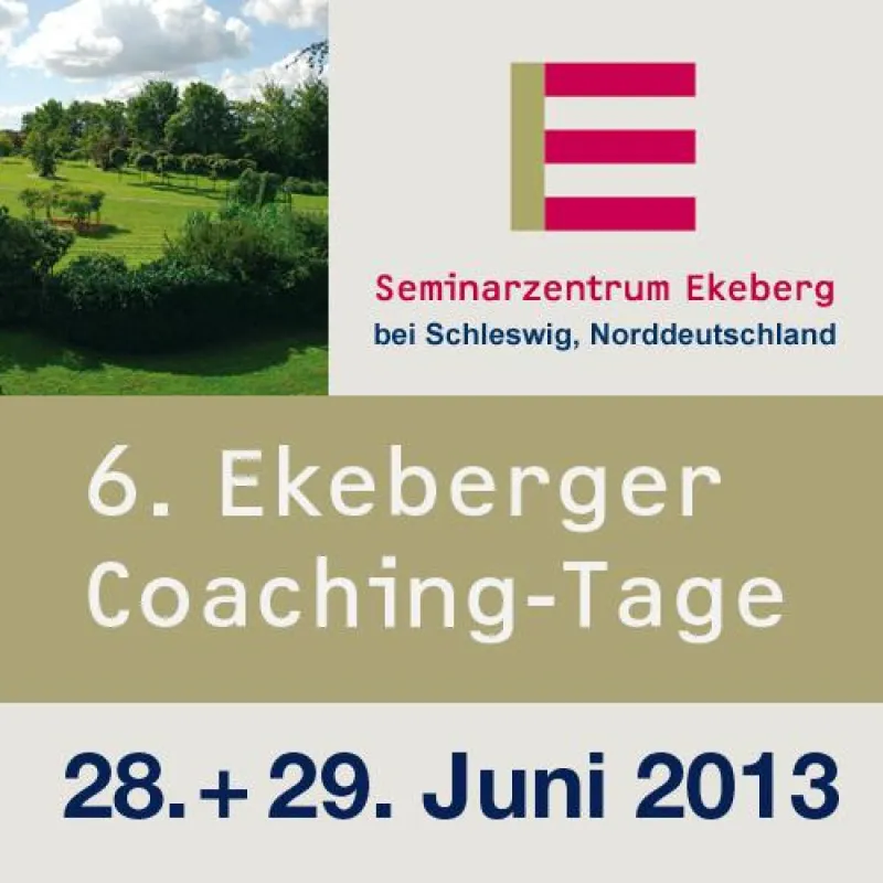 Professionalisierung von Coaching: Mitmachen mit eigenen Themen!